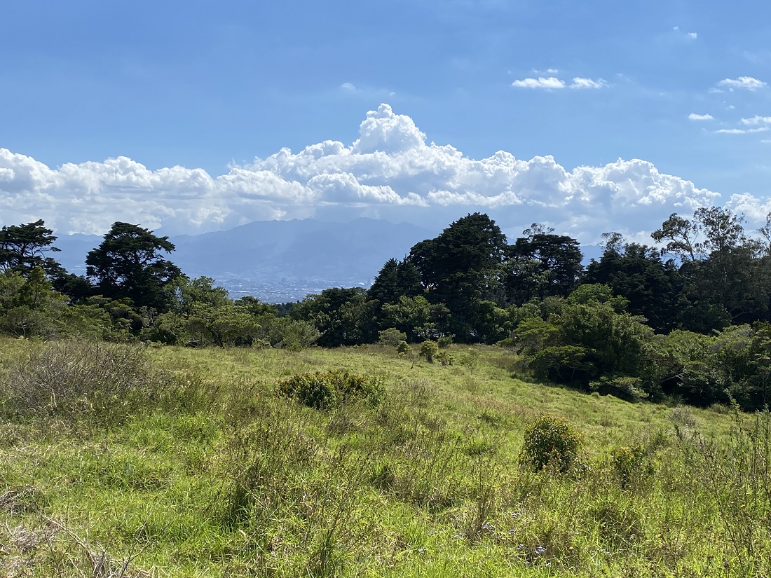 0 bed Land For Sale in San Isidro, Heredia - thumb 22