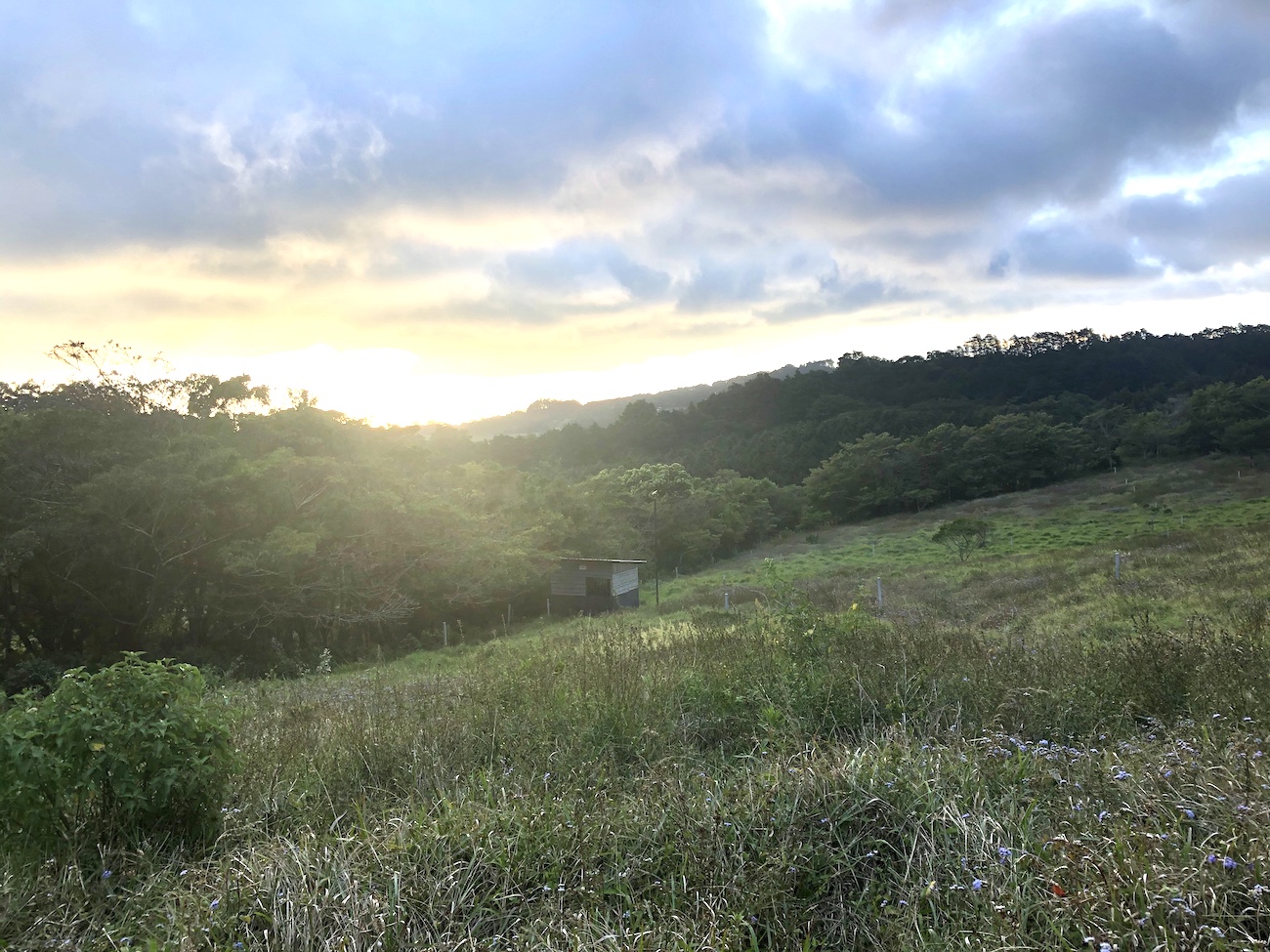 0 bed Land For Sale in San Isidro, Heredia - thumb 5