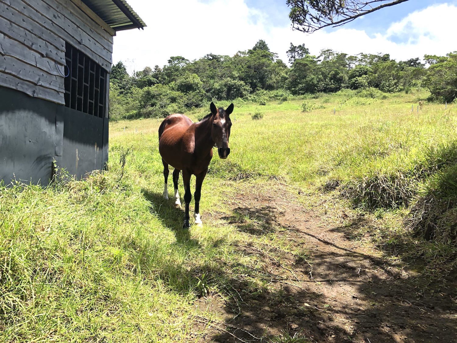 0 bed Land For Sale in San Isidro, Heredia - thumb 7
