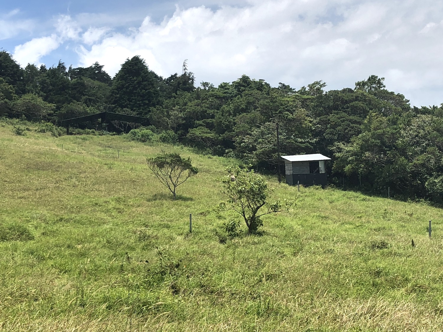 0 bed Land For Sale in San Isidro, Heredia - thumb 15