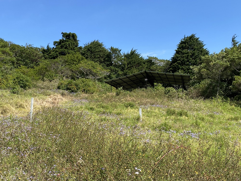 0 bed Land For Sale in San Isidro, Heredia - thumb 20