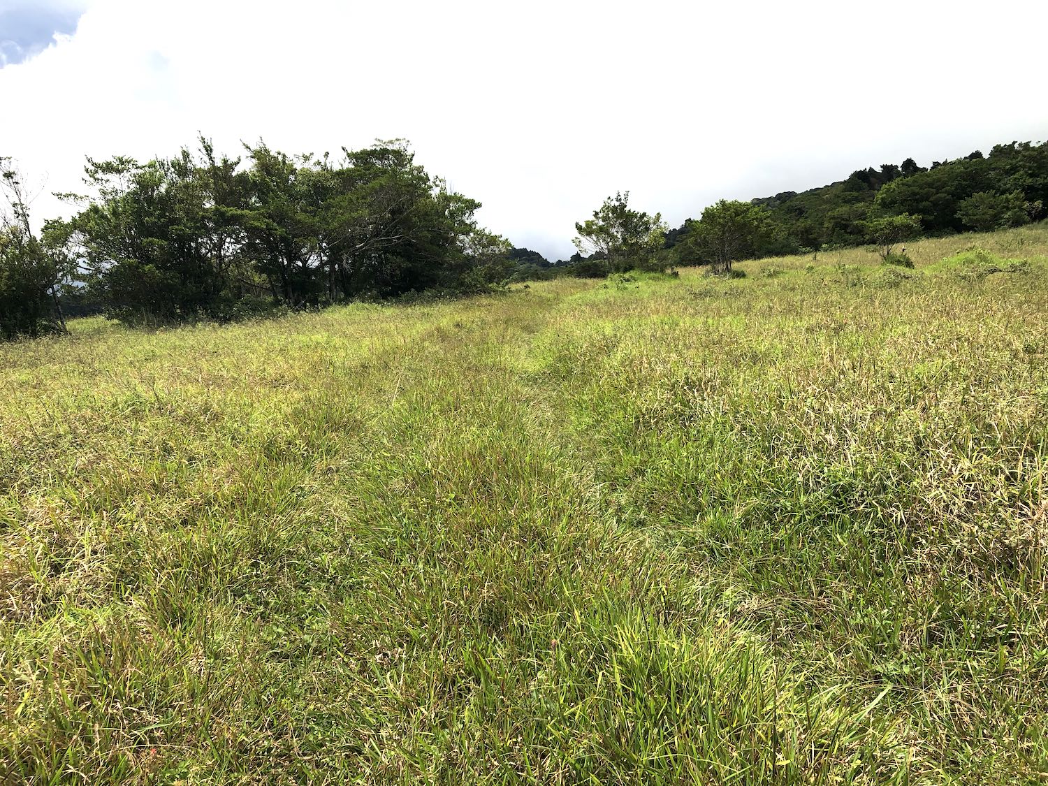 0 bed Land For Sale in San Isidro, Heredia - thumb 24