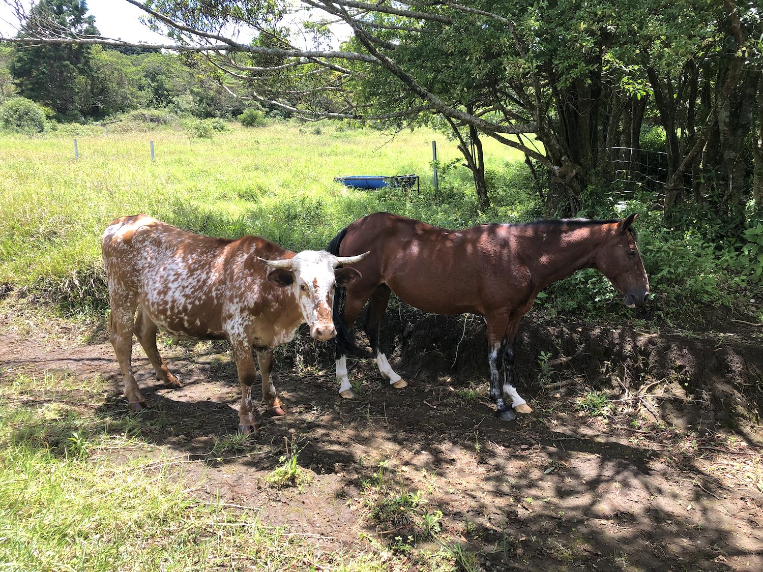 0 bed Land For Sale in San Isidro, Heredia - thumb 10