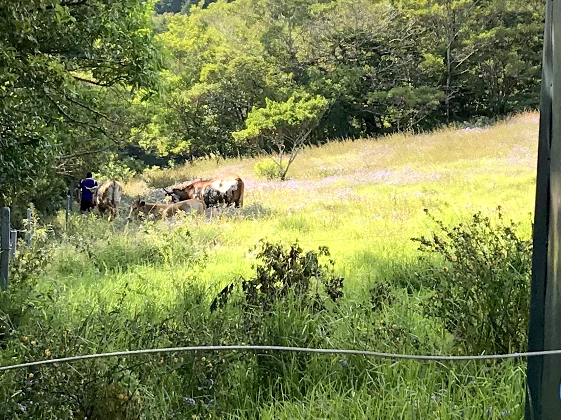 0 bed Land For Sale in San Isidro, Heredia - thumb 23