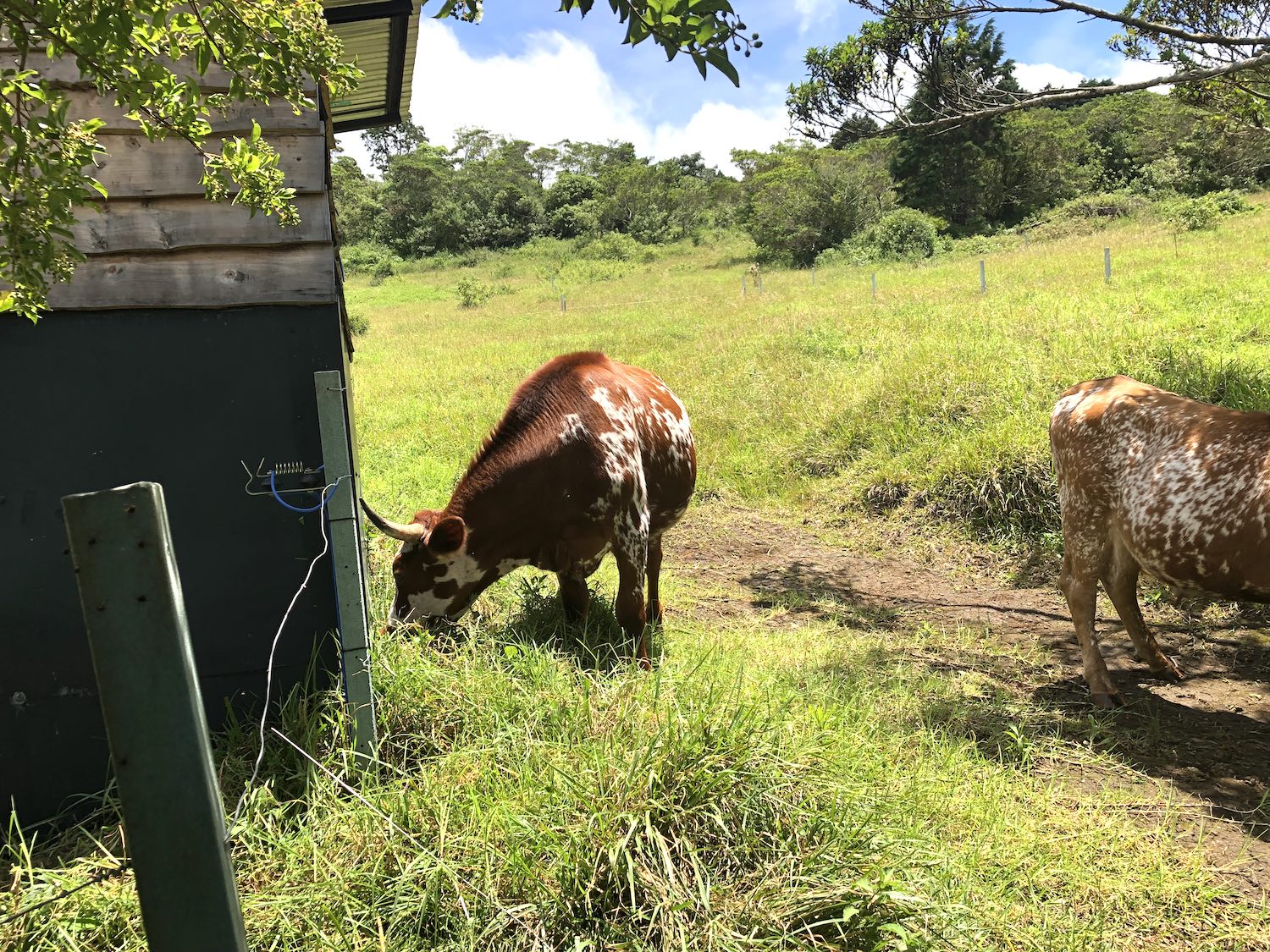 0 bed Land For Sale in San Isidro, Heredia - thumb 9