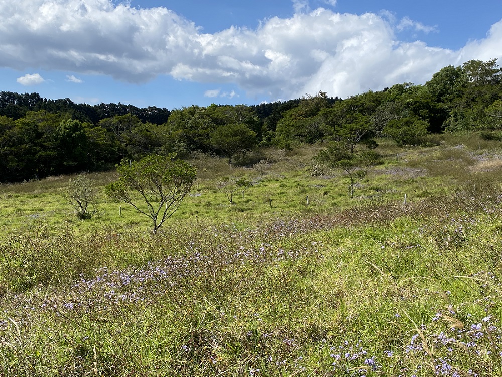 0 bed Land For Sale in San Isidro, Heredia - thumb 19