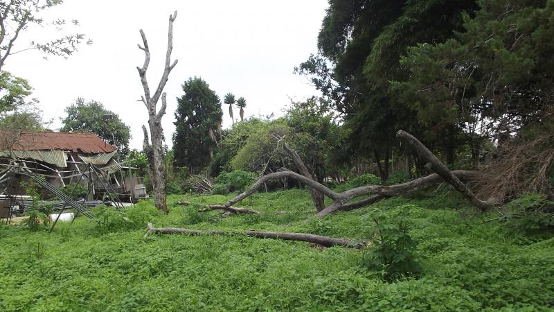 0 bed Land For Sale in Tres Ríos, Cartago - thumb 5