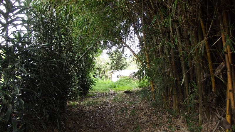 0 bed Land For Sale in Tres Ríos, Cartago - thumb 2