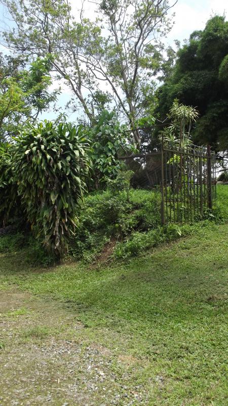 0 bed Land For Sale in Tres Ríos, Cartago - thumb 4