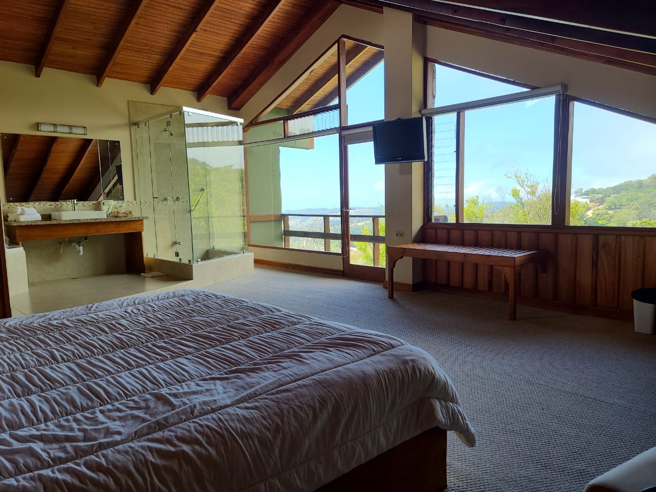 99 bed Hotel / Leisure For Sale in Monteverde, Guanacaste - thumb 13