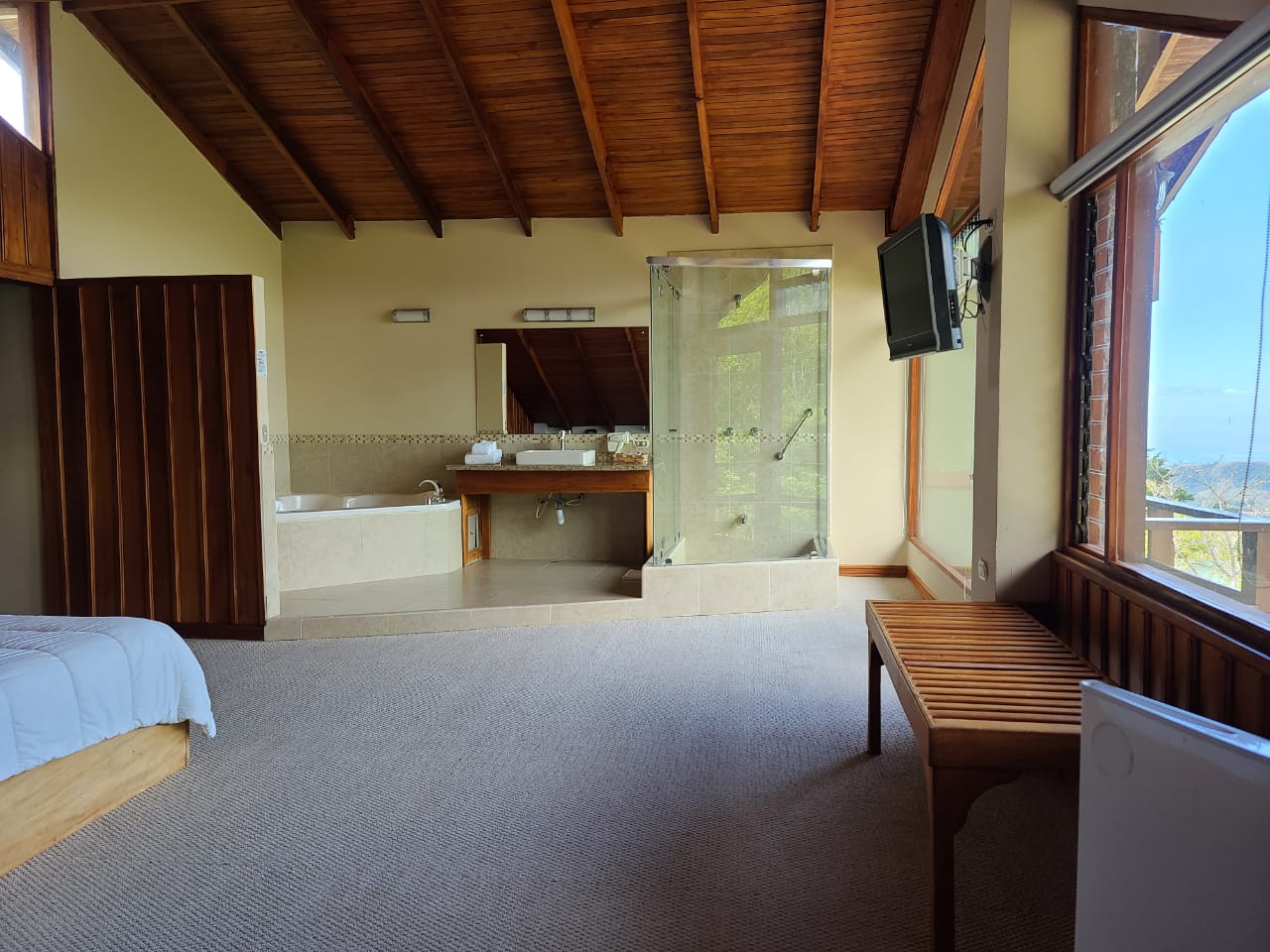 99 bed Hotel / Leisure For Sale in Monteverde, Guanacaste - thumb 14