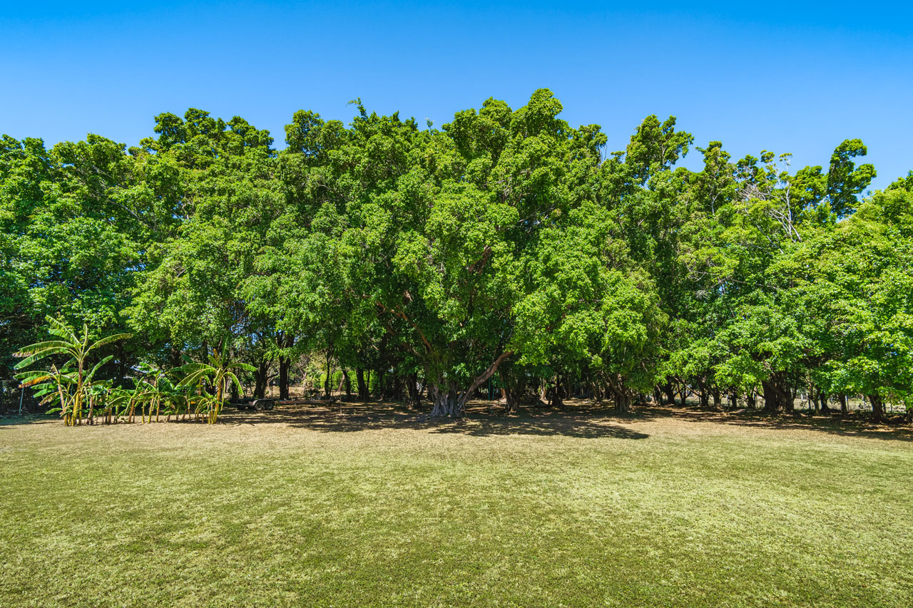 12 bed Hotel / Leisure For Sale in Tamarindo, Guanacaste - thumb 15