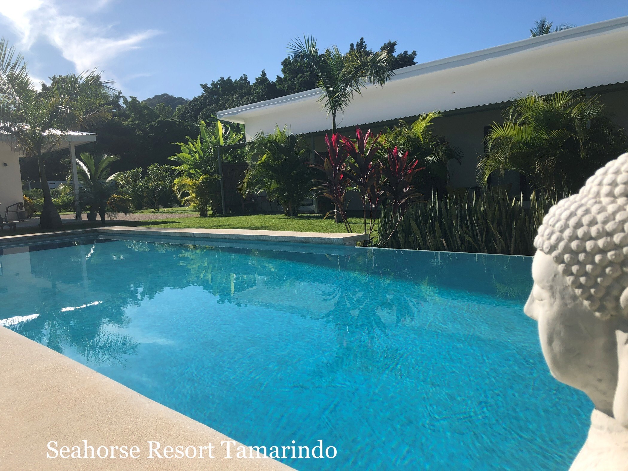 12 bed Hotel / Leisure For Sale in Tamarindo, Guanacaste - thumb 8