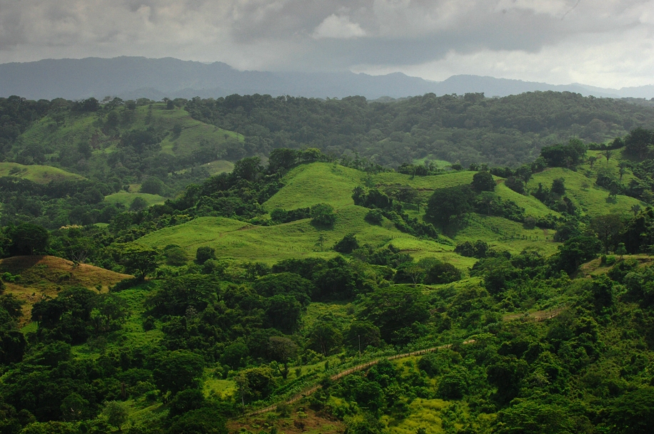 8 bed Hotel / Leisure For Sale in Puntarenas, Puntarenas - thumb 21