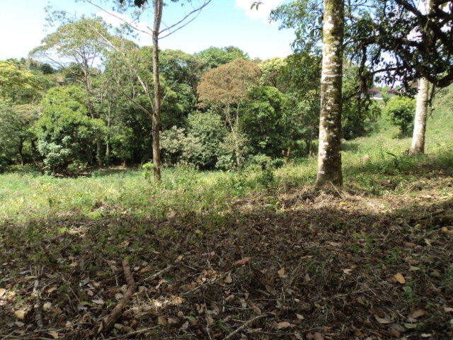 0 bed Land For Sale in San Ramón, Cartago - thumb 3