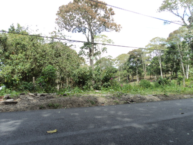 0 bed Land For Sale in San Ramón, Cartago - thumb 4
