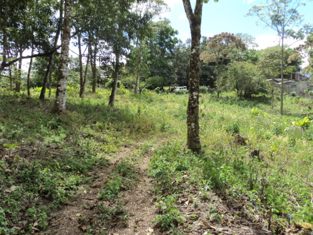 0 bed Land For Sale in San Ramón, Cartago - thumb 2