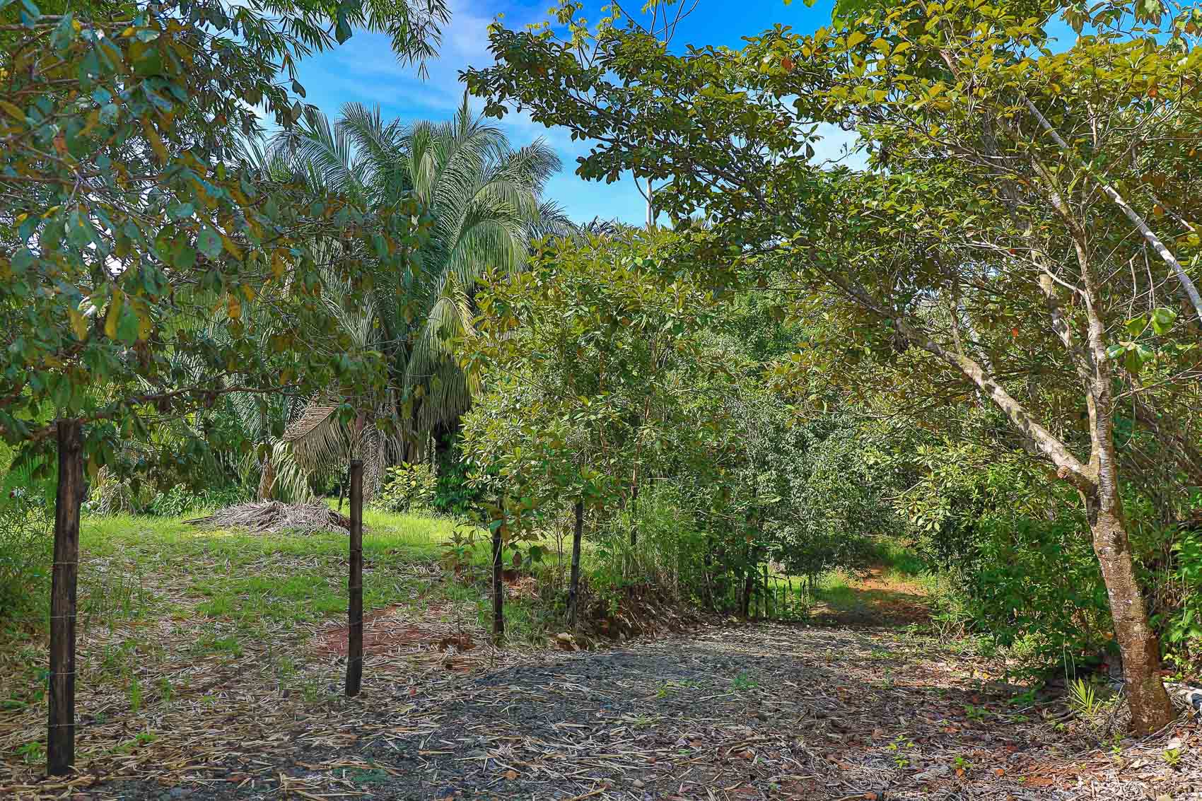 0 bed Land For Sale in Quepos, Puntarenas - thumb 21