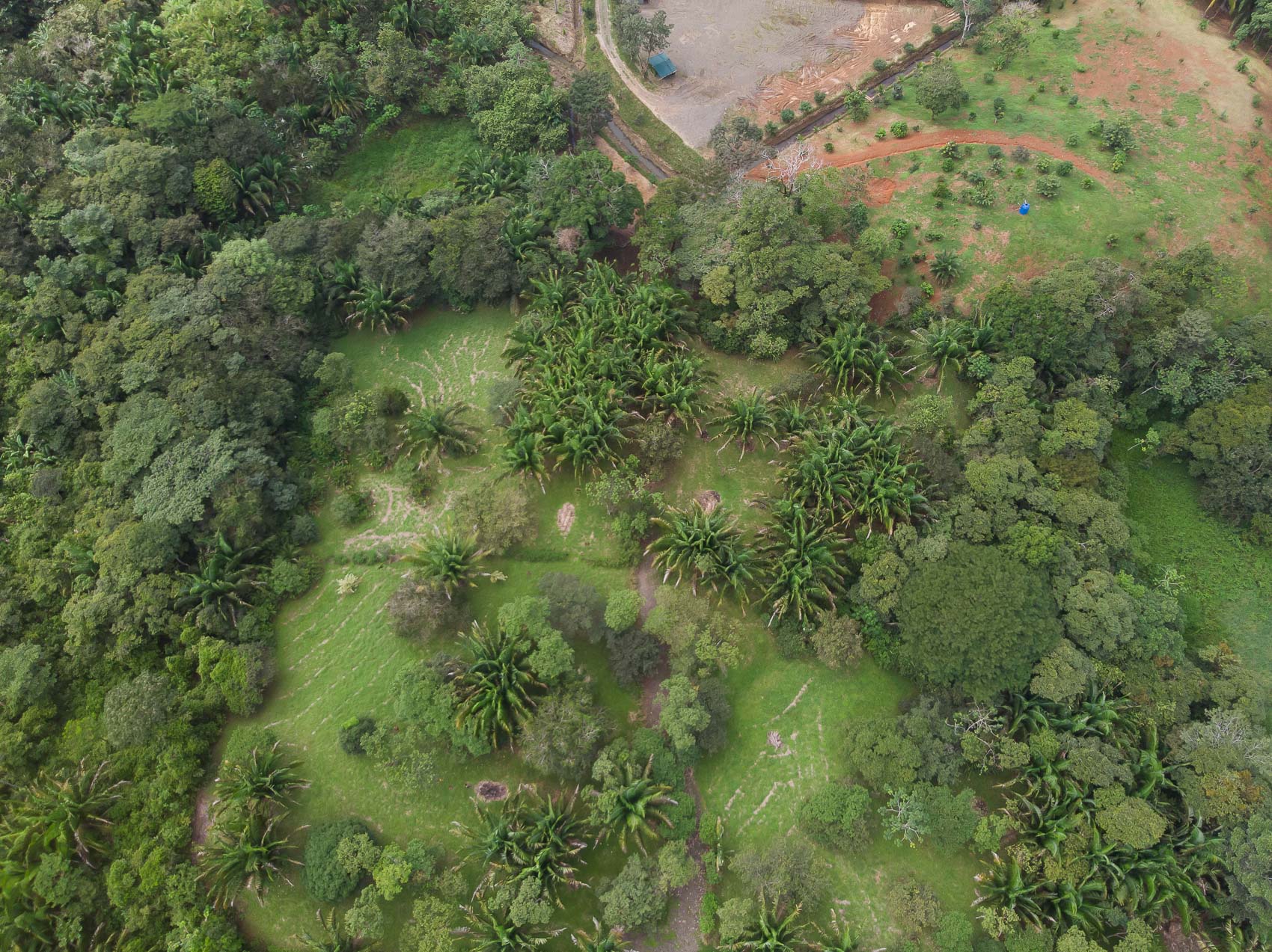 0 bed Land For Sale in Quepos, Puntarenas - thumb 2