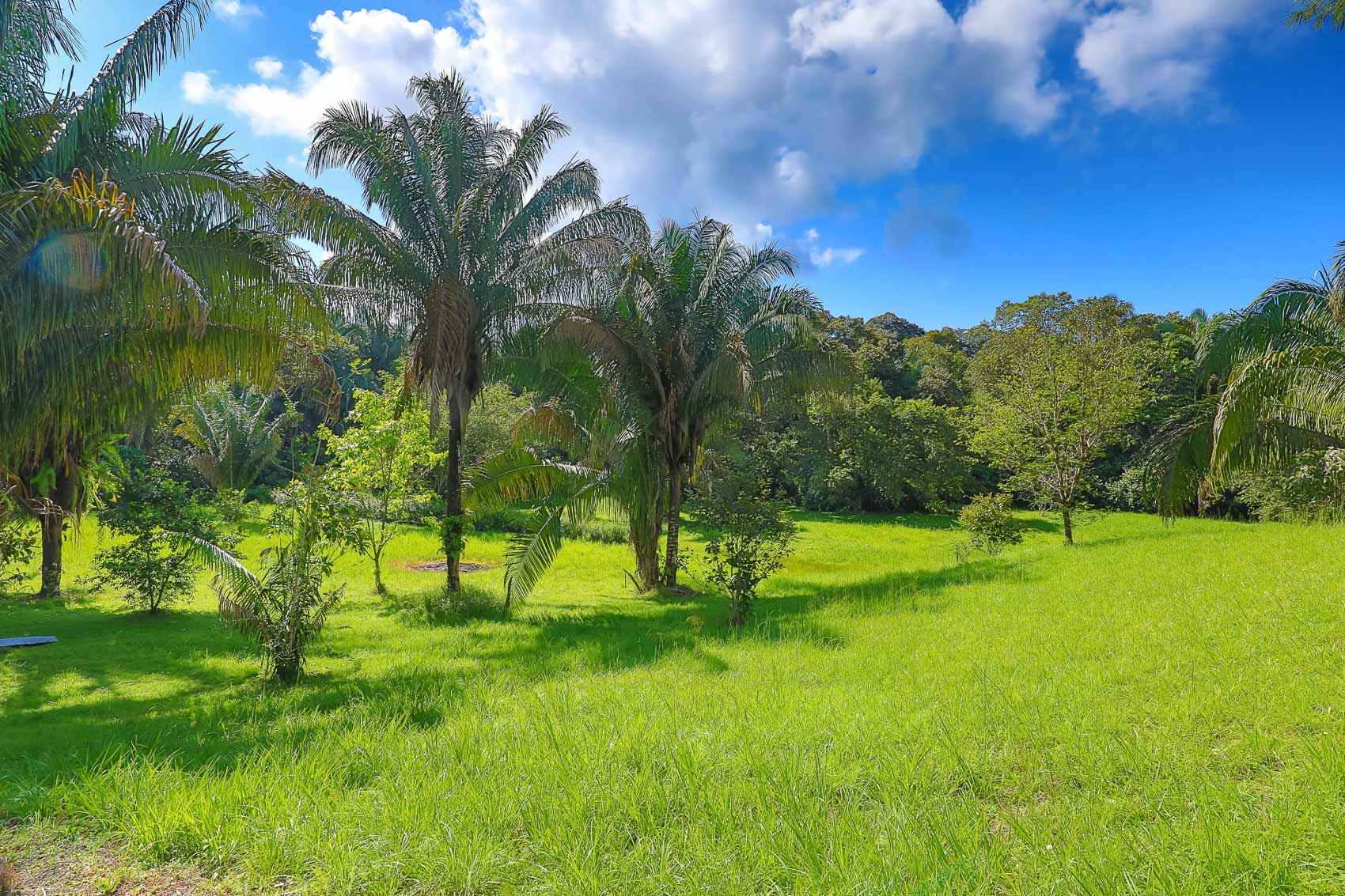 0 bed Land For Sale in Quepos, Puntarenas - thumb 8