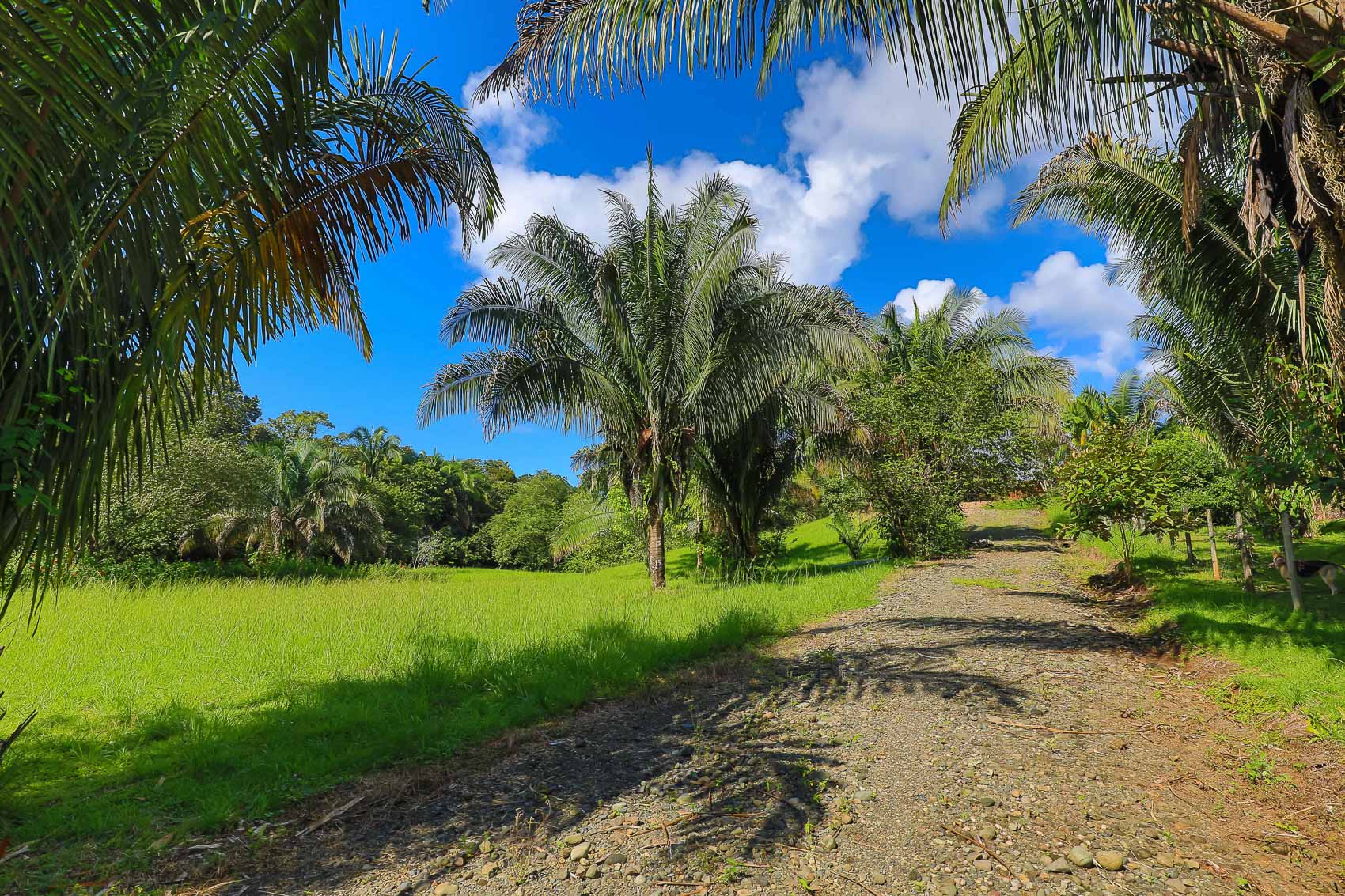 0 bed Land For Sale in Quepos, Puntarenas - thumb 11