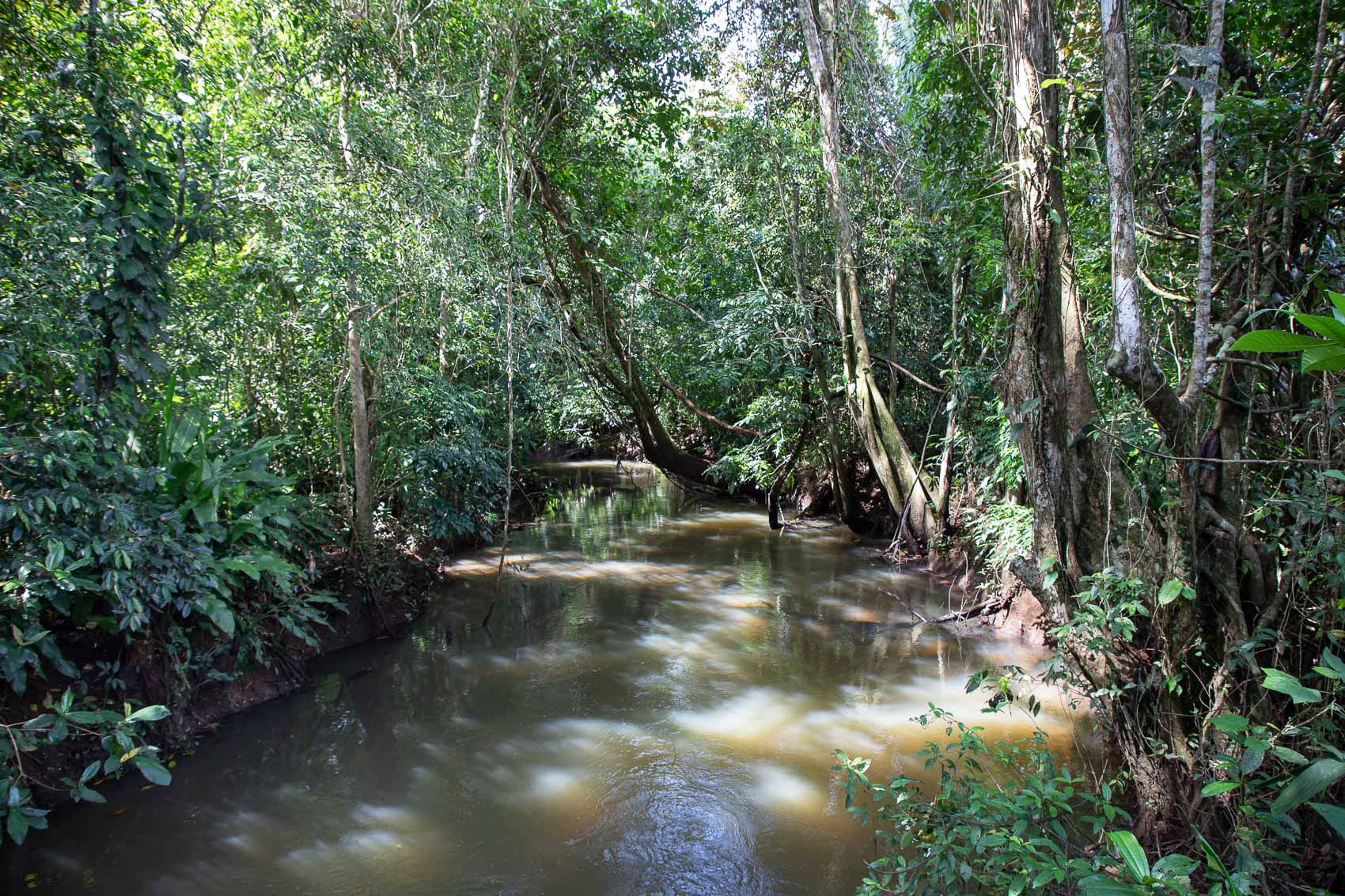 0 bed Land For Sale in Quepos, Puntarenas - thumb 18