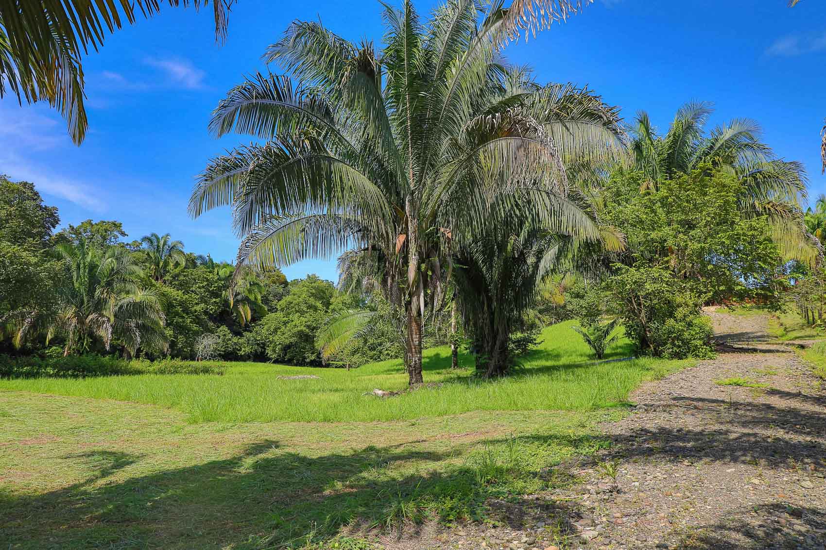 0 bed Land For Sale in Quepos, Puntarenas - thumb 19