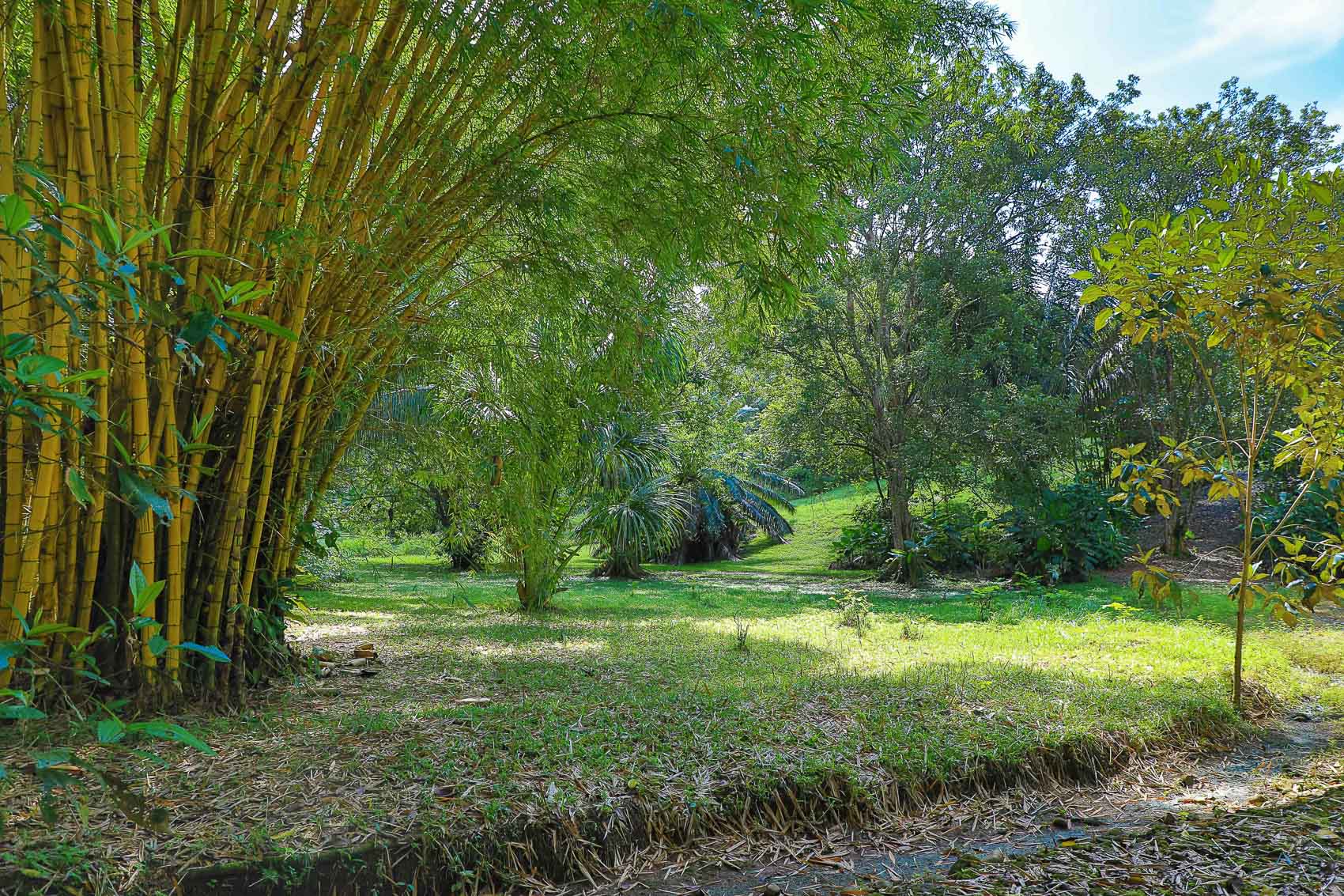 0 bed Land For Sale in Quepos, Puntarenas - thumb 17