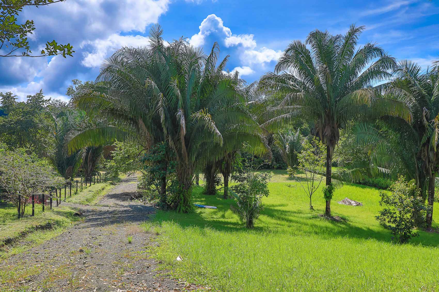 0 bed Land For Sale in Quepos, Puntarenas - thumb 20