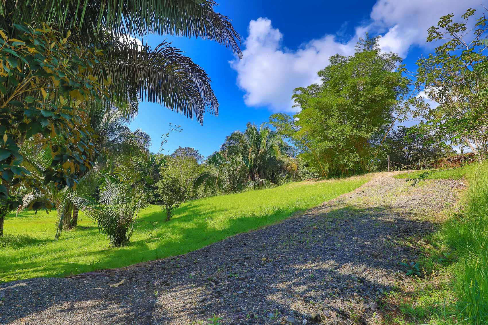 0 bed Land For Sale in Quepos, Puntarenas - thumb 9