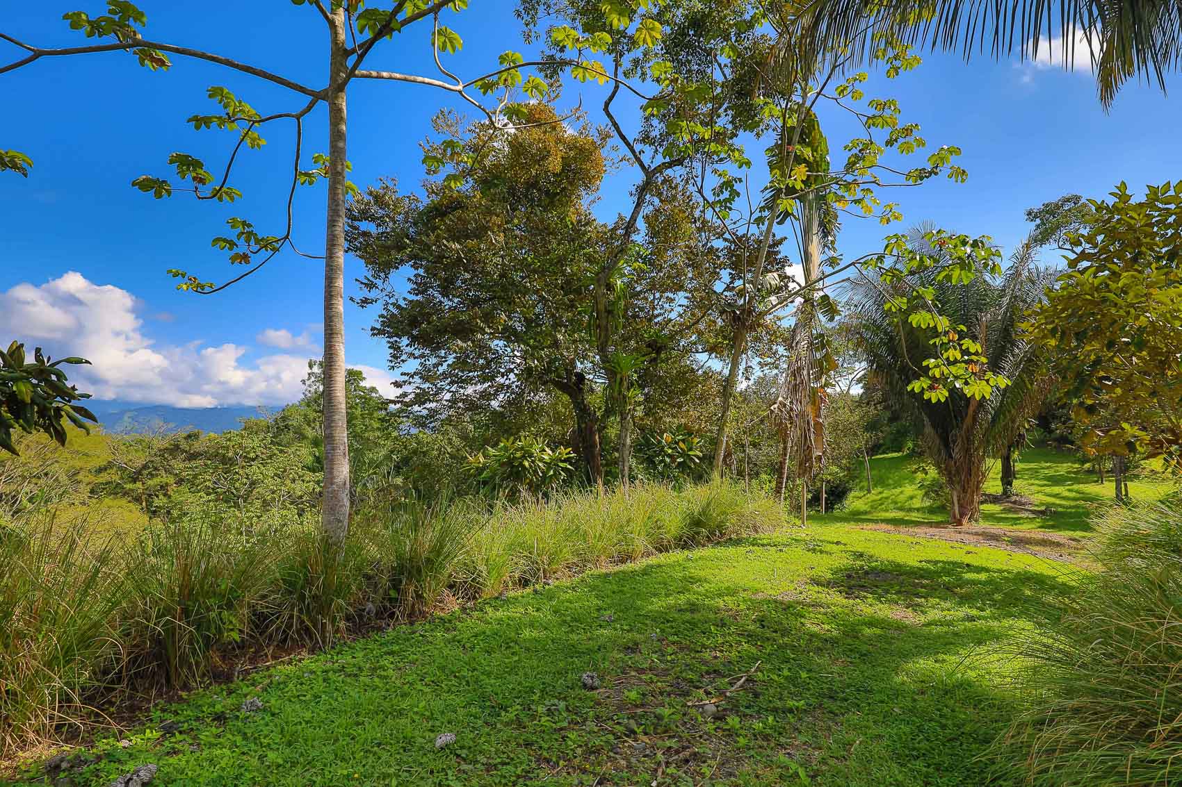 0 bed Land For Sale in Quepos, Puntarenas - thumb 14