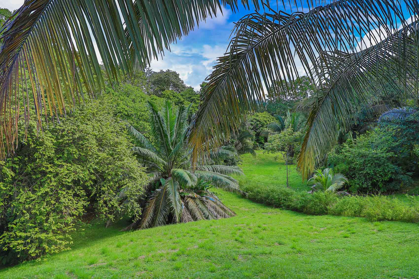 0 bed Land For Sale in Quepos, Puntarenas - thumb 15