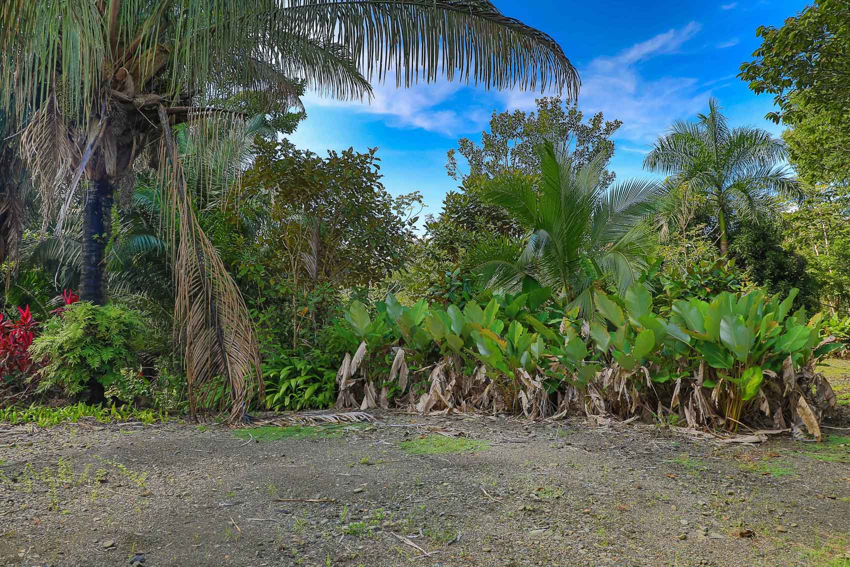 0 bed Land For Sale in Quepos, Puntarenas - thumb 16