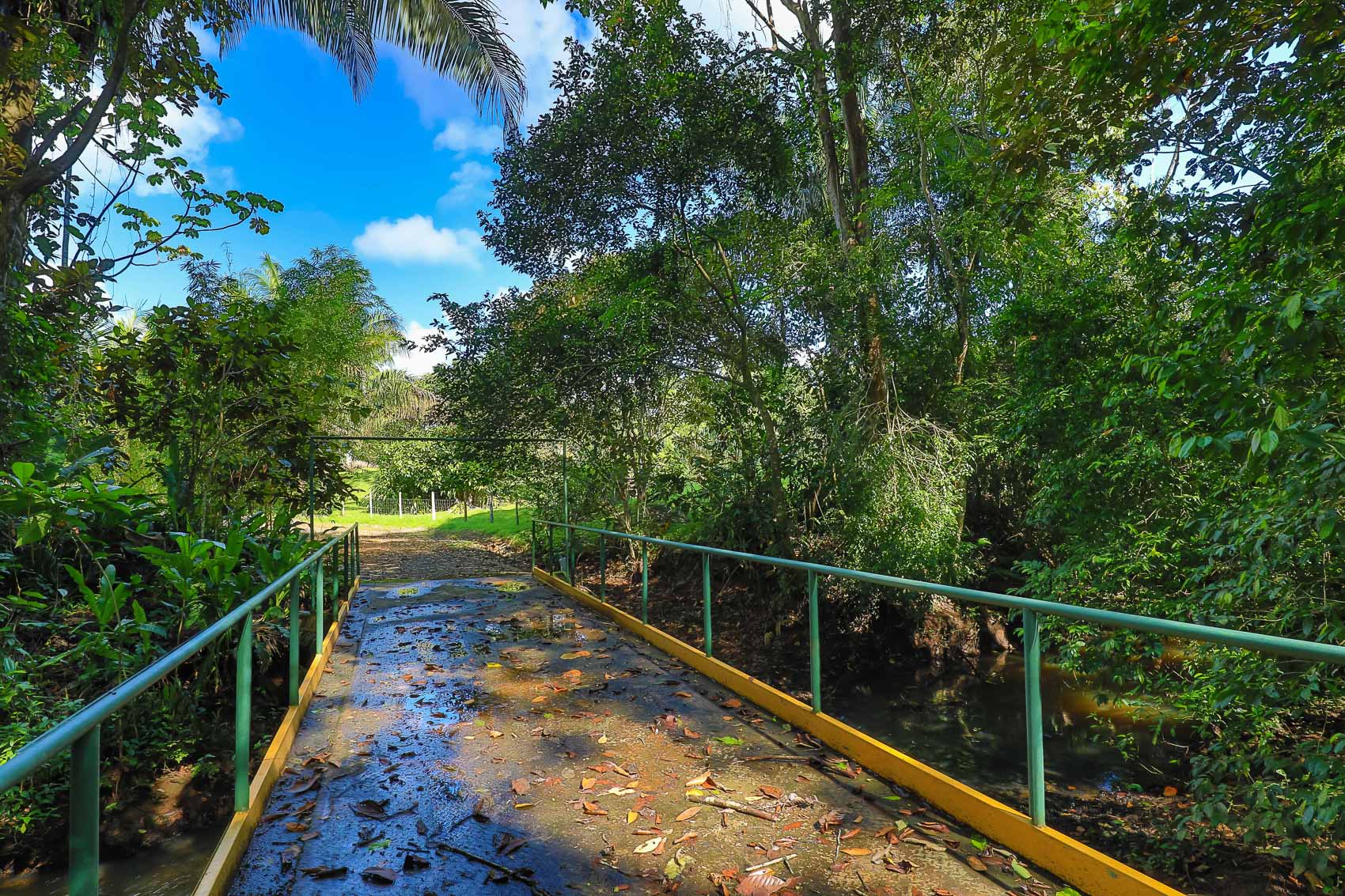 0 bed Land For Sale in Quepos, Puntarenas - thumb 12