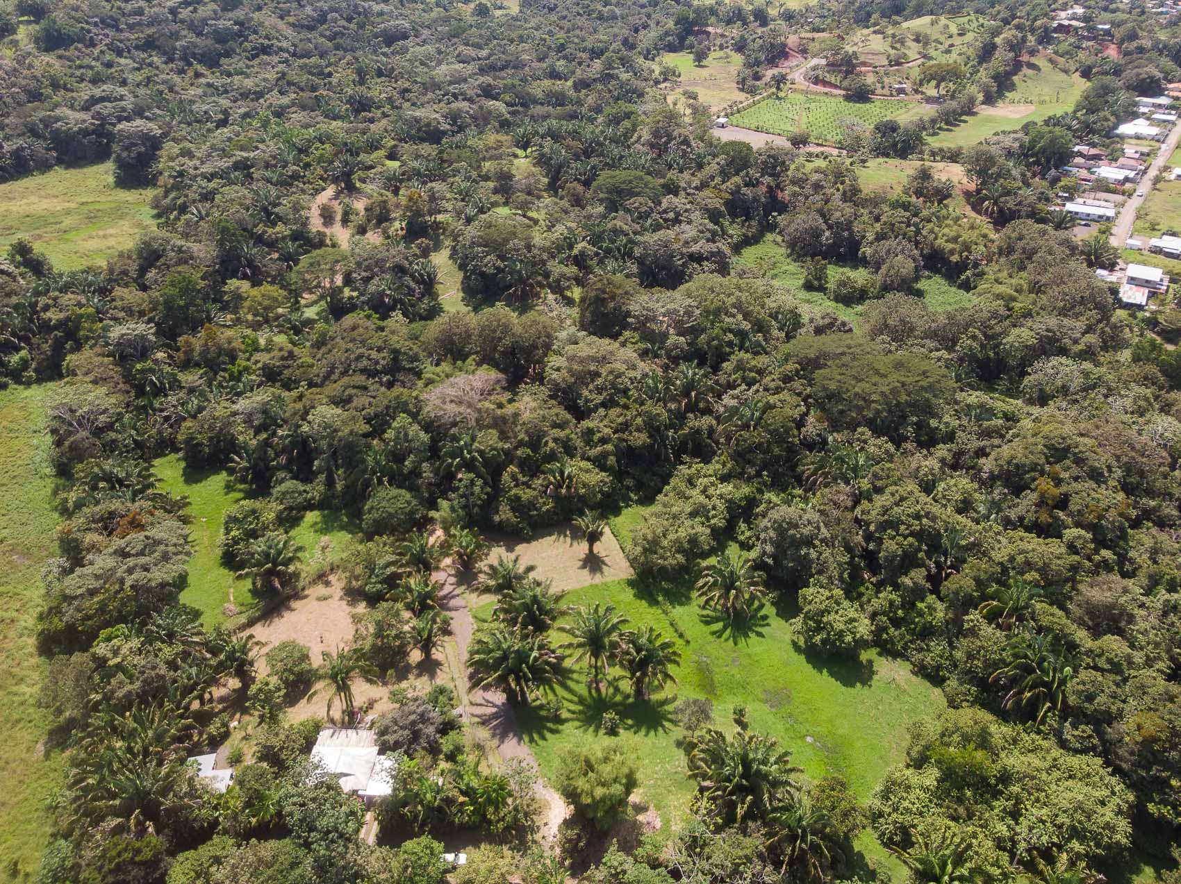 0 bed Land For Sale in Quepos, Puntarenas - thumb 7