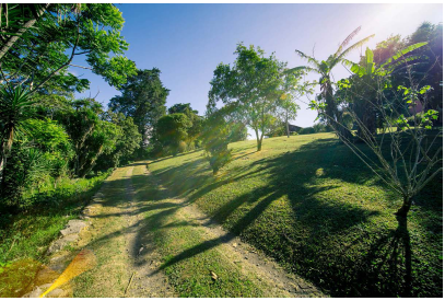 6 bed Land For Sale in Montes de Oca, San Jose - thumb 3