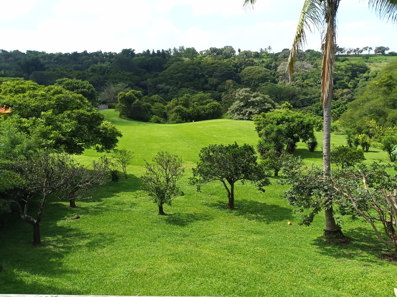 Featured property image