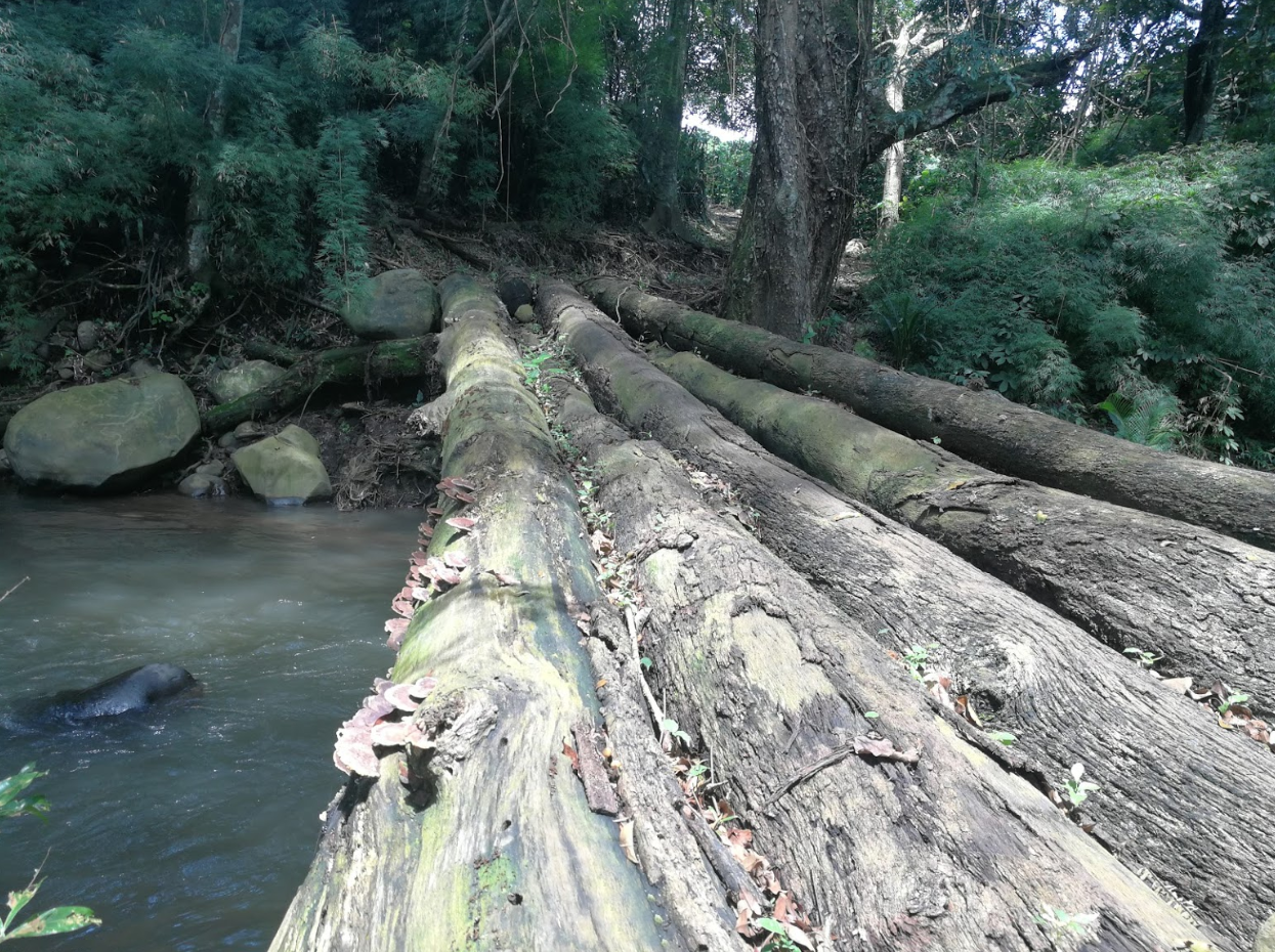 0 bed Land For Sale in Grecia, Alajuela - thumb 5