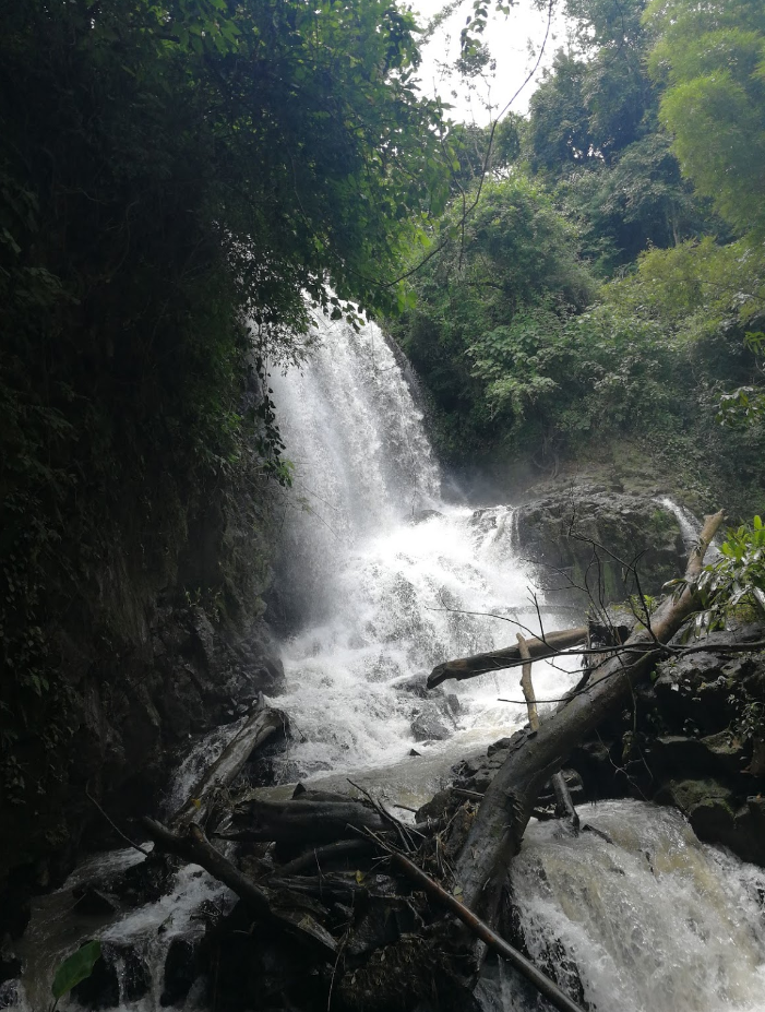 0 bed Land For Sale in Grecia, Alajuela - thumb 8