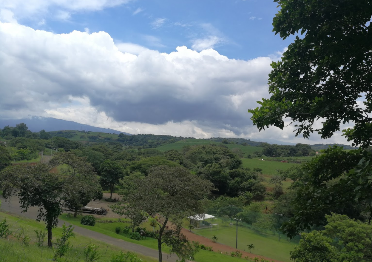 0 bed Land For Sale in Grecia, Alajuela - thumb 4