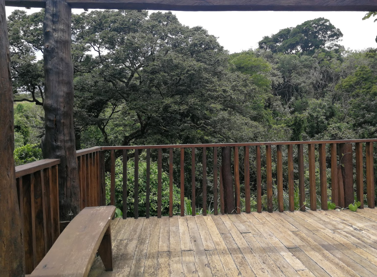 0 bed Land For Sale in Grecia, Alajuela - thumb 9