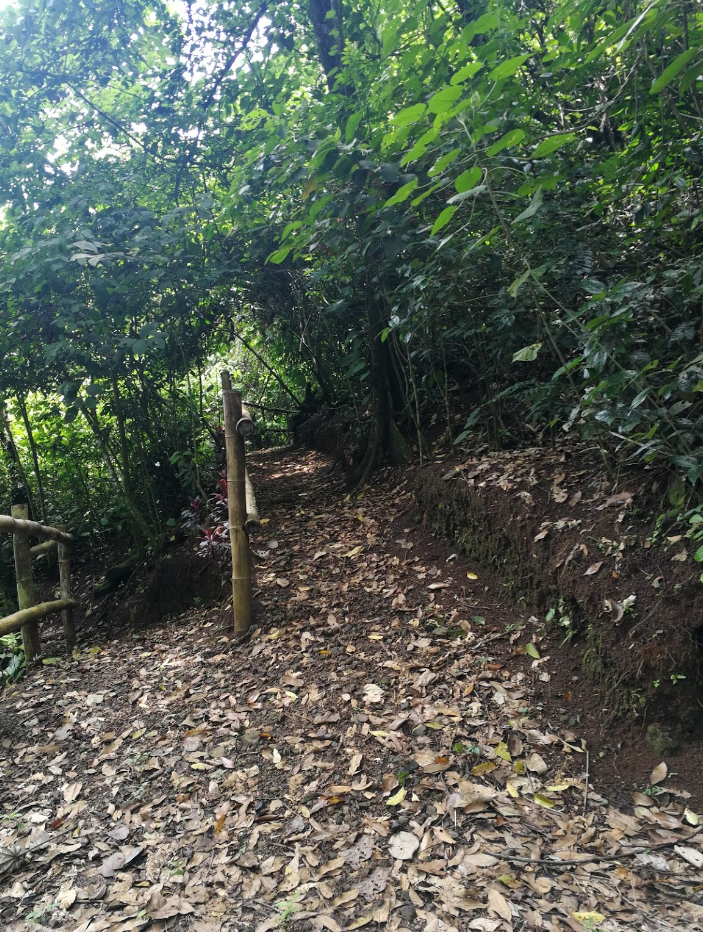 0 bed Land For Sale in Grecia, Alajuela - thumb 11