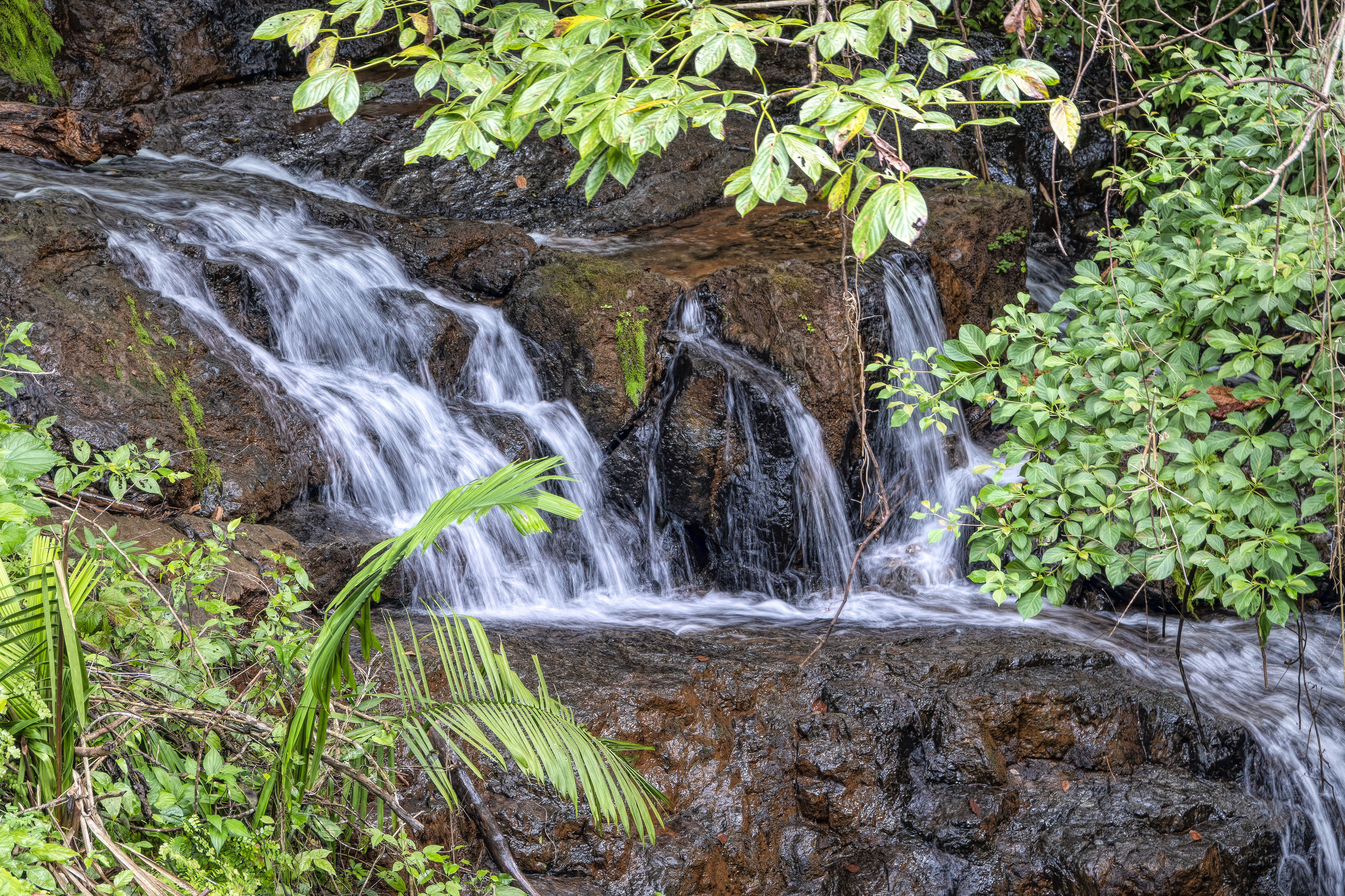 0 bed Land For Sale in Samara, Guanacaste - thumb 1