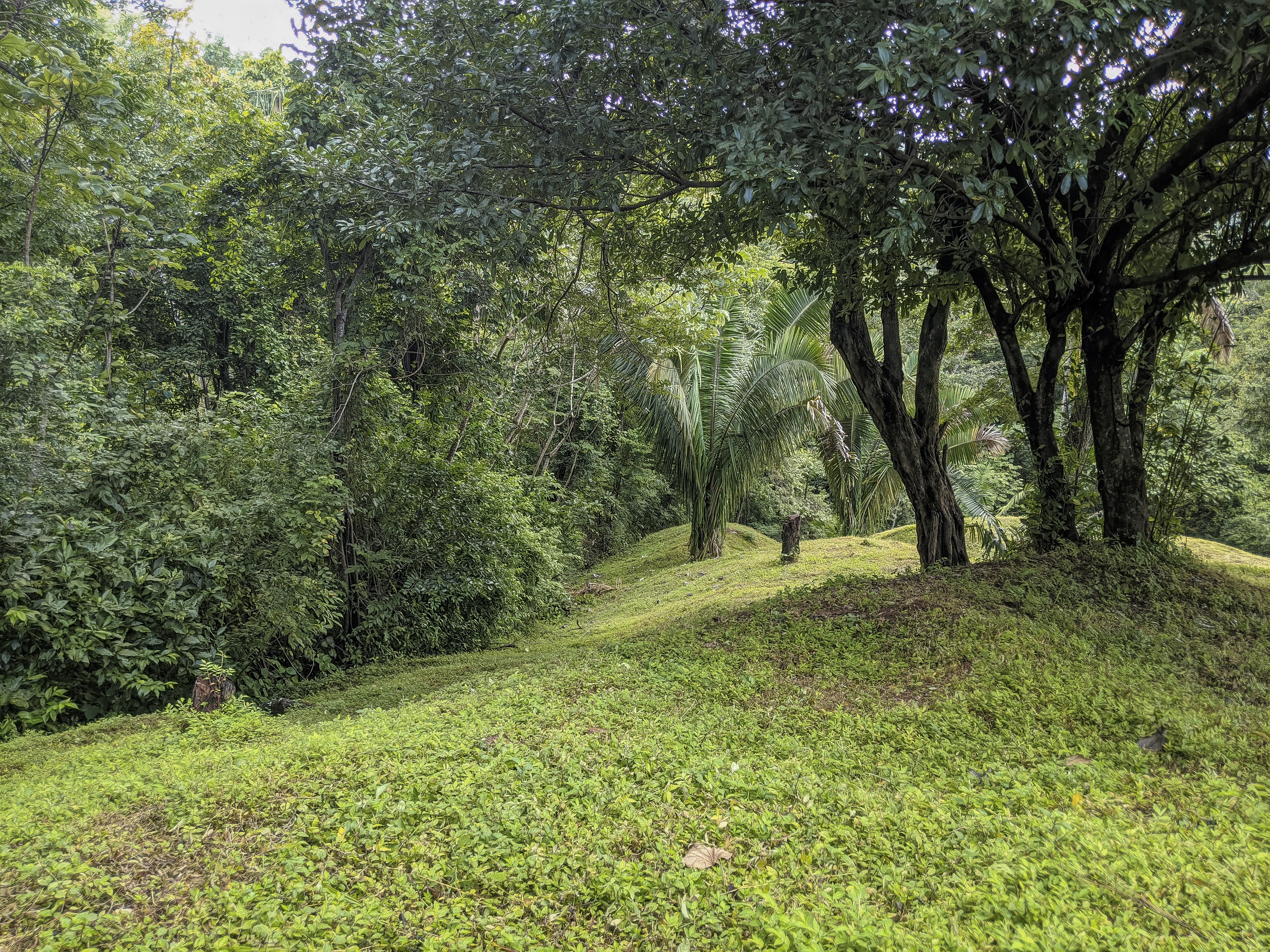 0 bed Land For Sale in Samara, Guanacaste - thumb 8