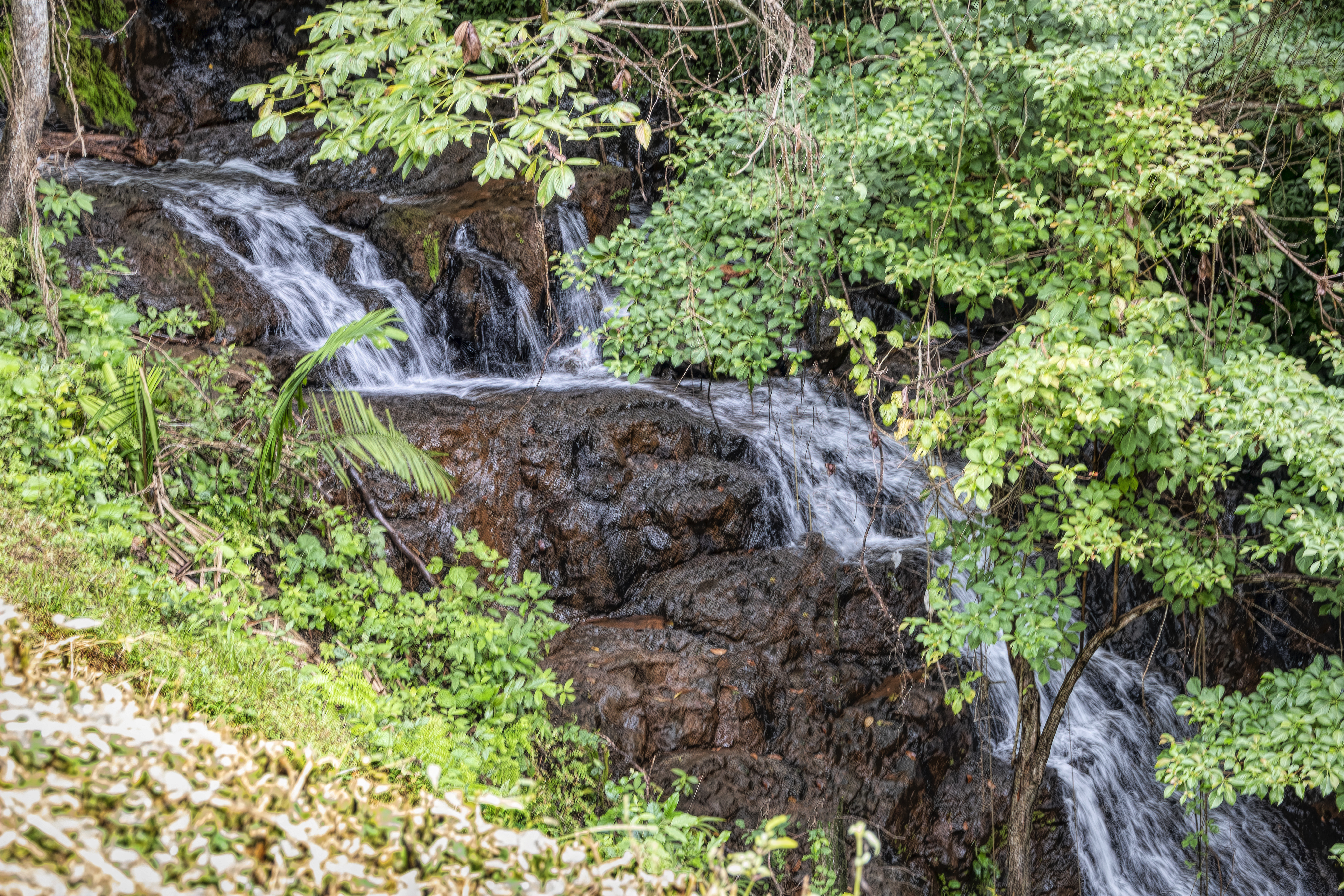0 bed Land For Sale in Samara, Guanacaste - thumb 16