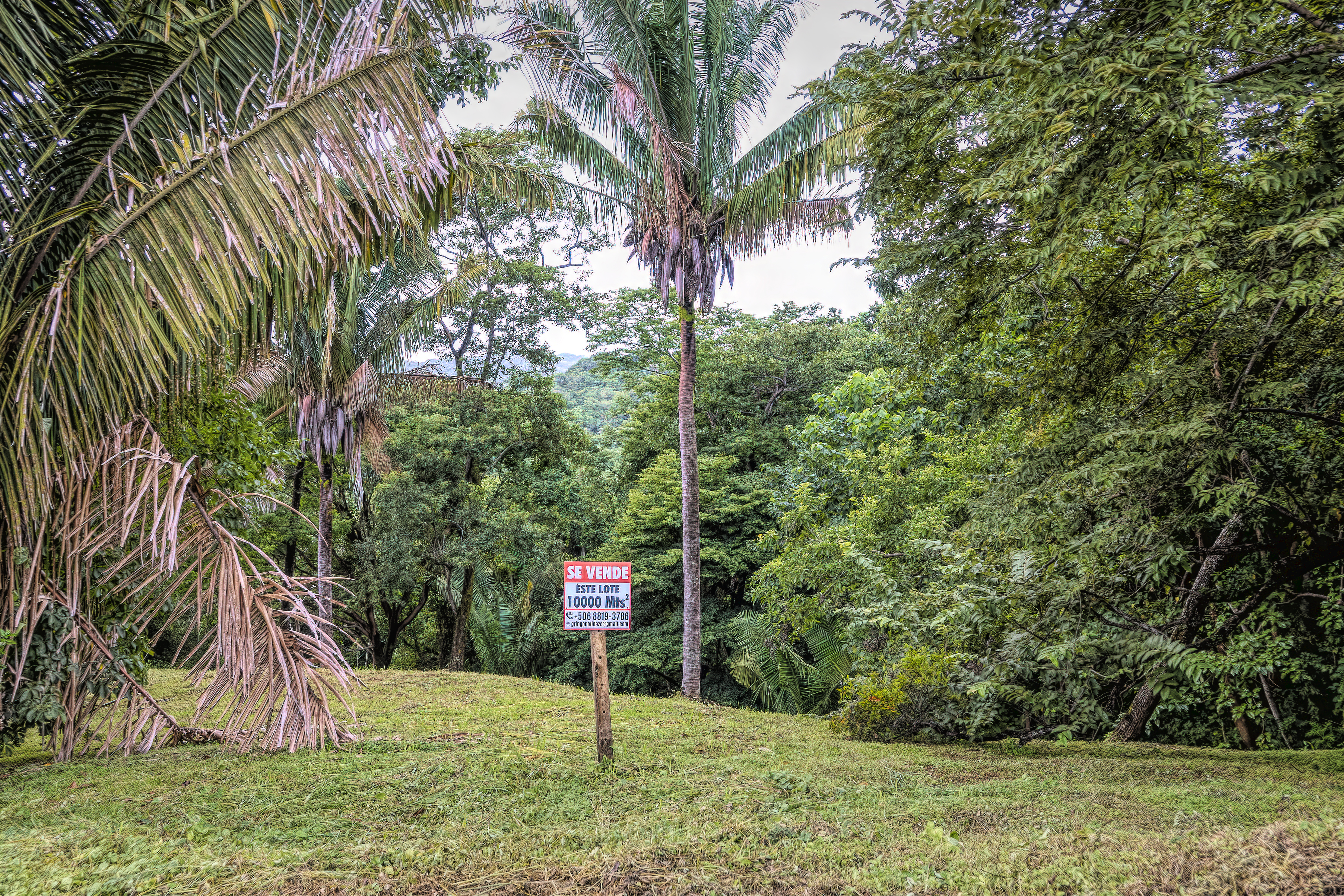 0 bed Land For Sale in Samara, Guanacaste - thumb 4
