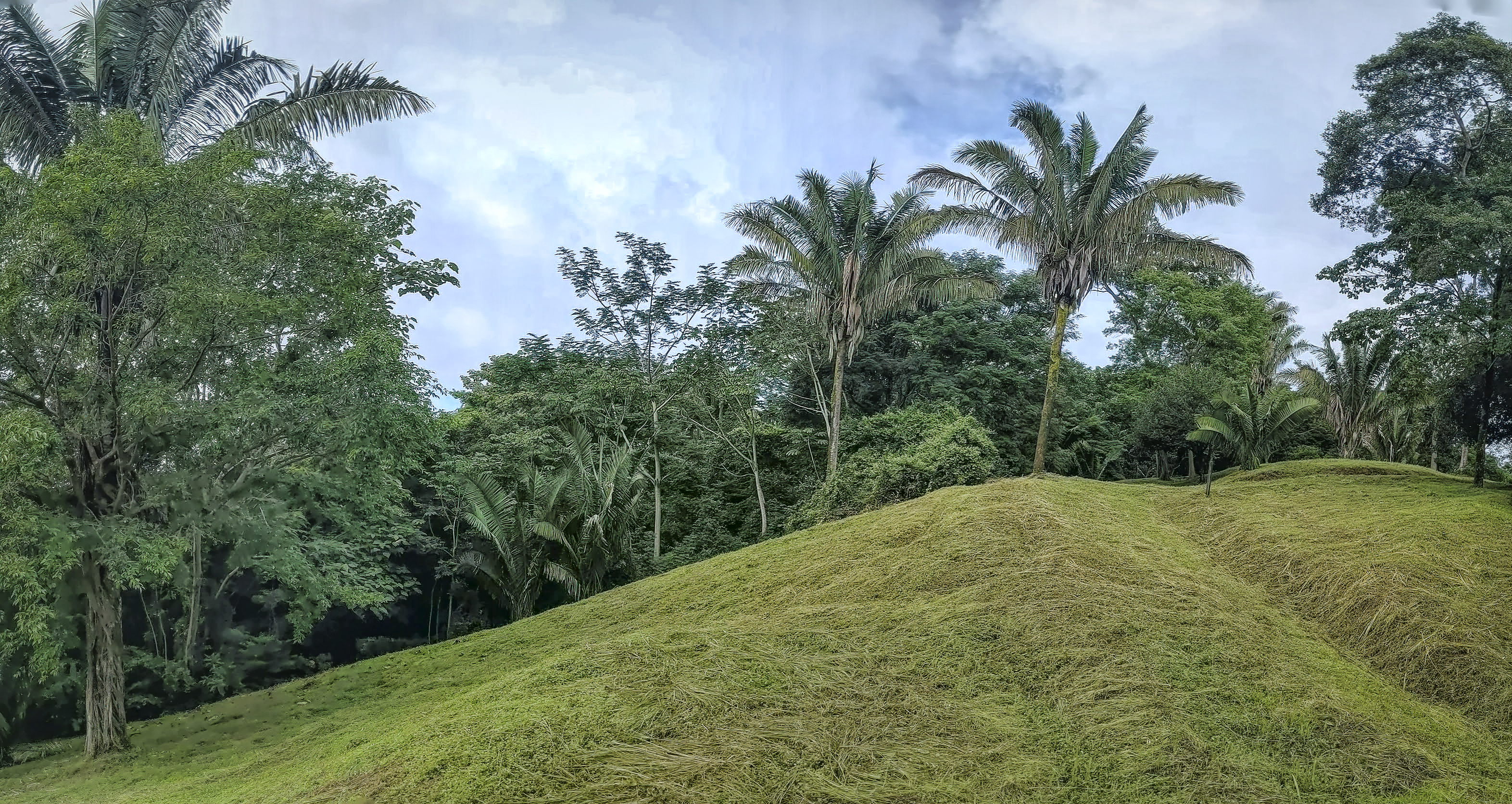 0 bed Land For Sale in Samara, Guanacaste - thumb 15