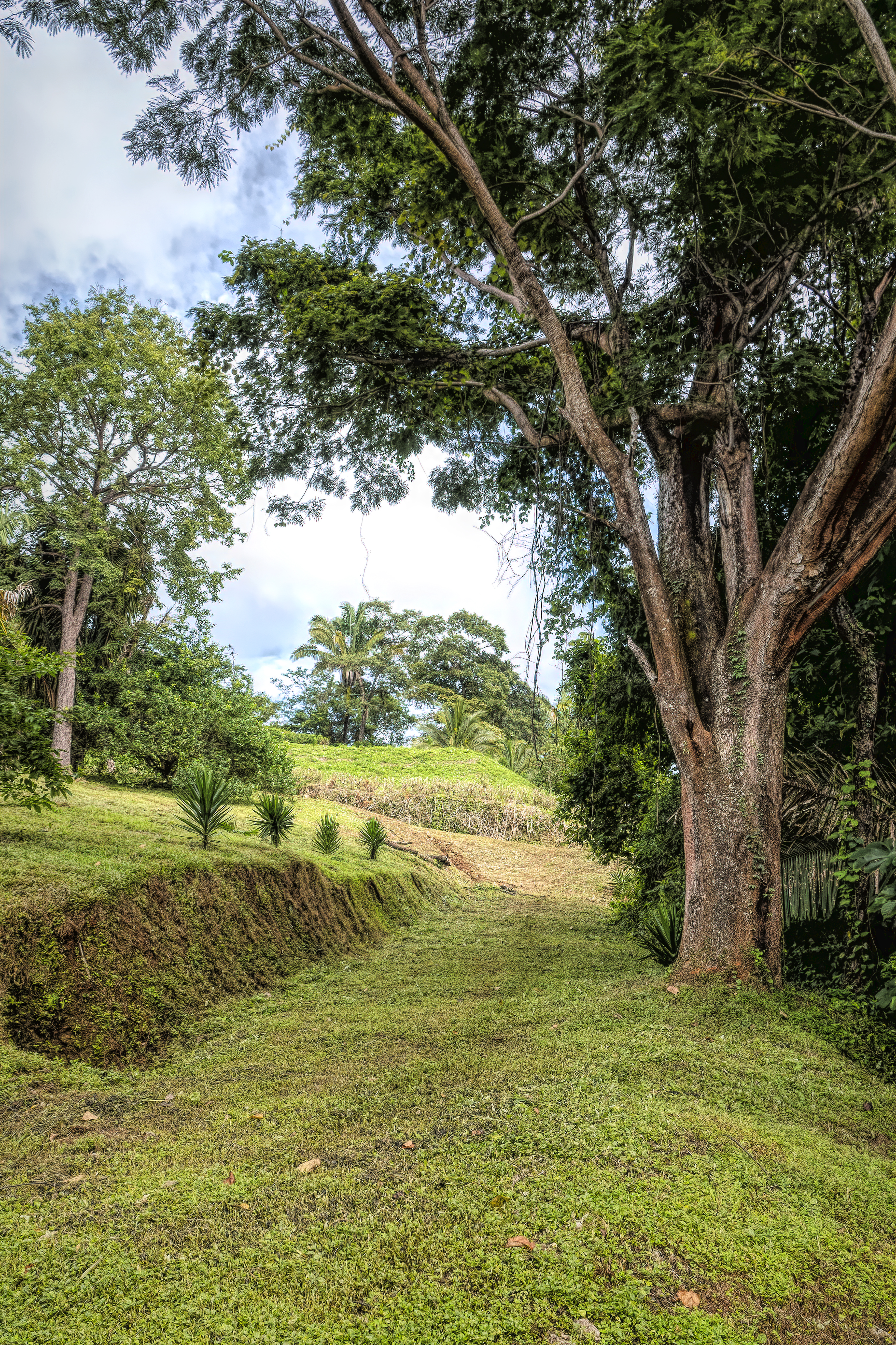 0 bed Land For Sale in Samara, Guanacaste - thumb 13