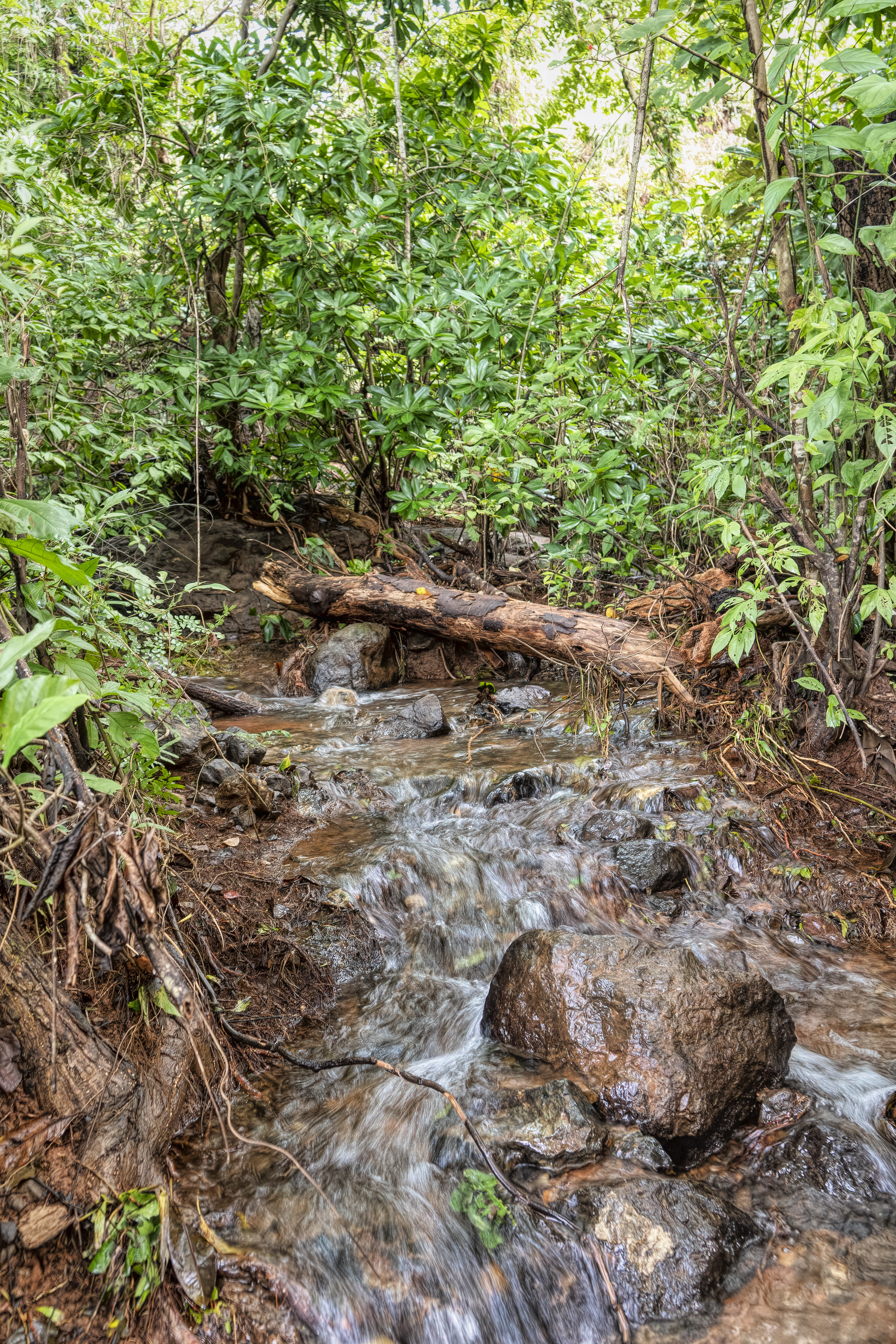 0 bed Land For Sale in Samara, Guanacaste - thumb 17