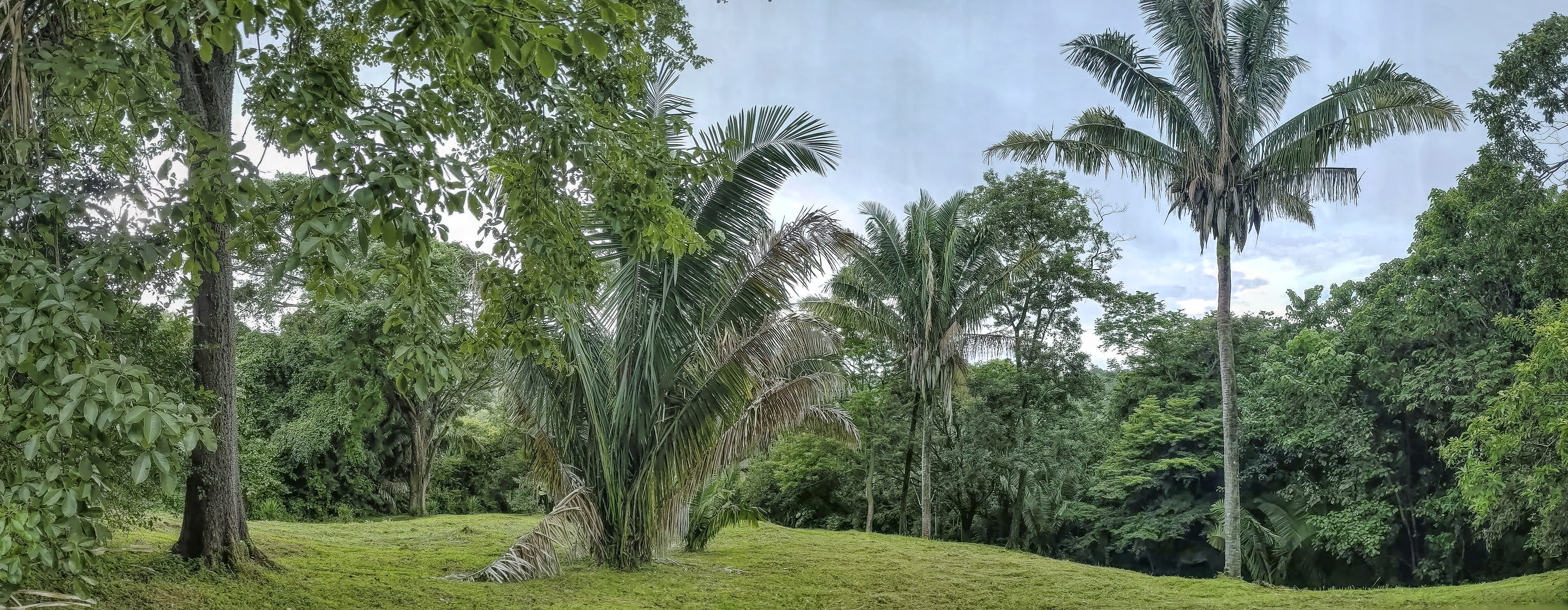 0 bed Land For Sale in Samara, Guanacaste - thumb 7